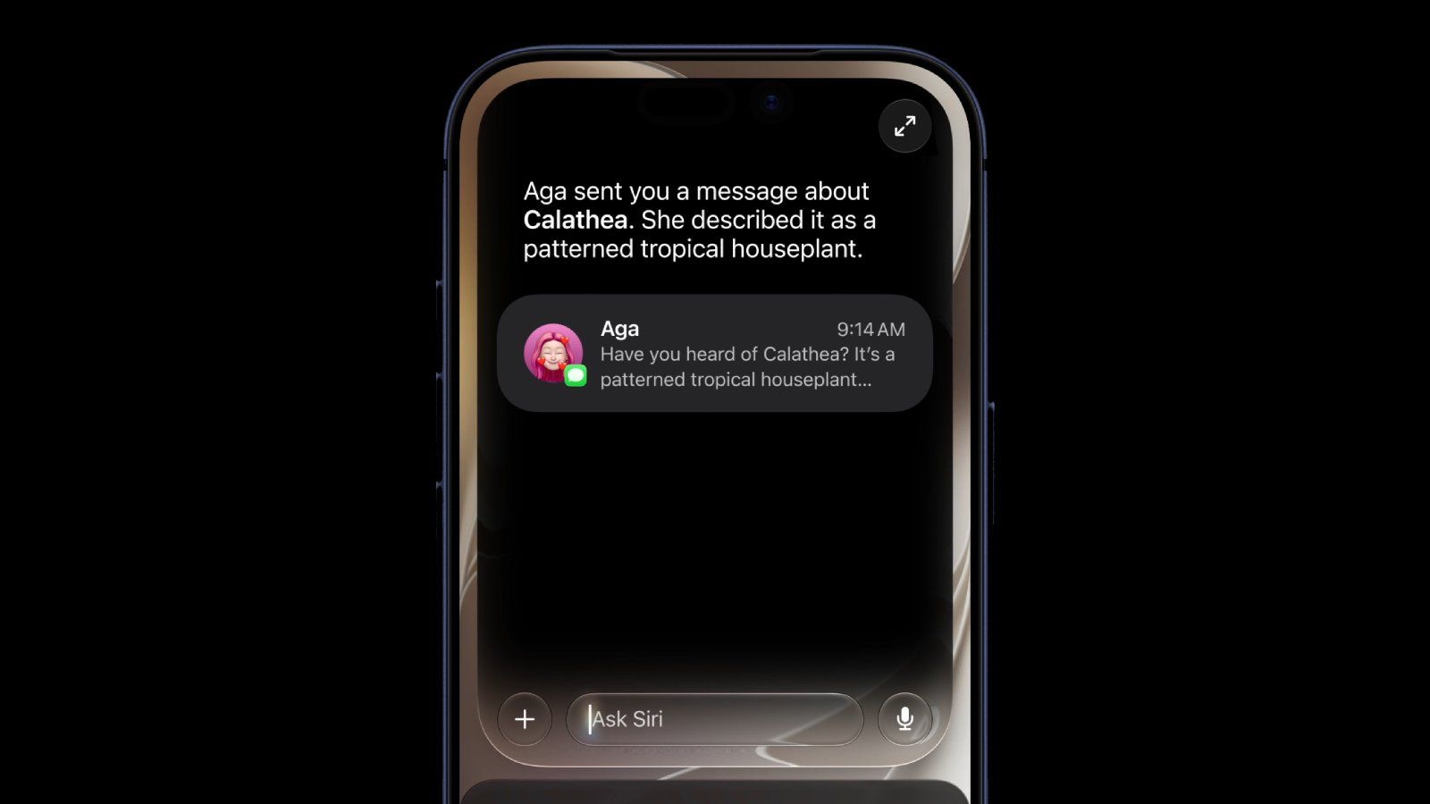 Craig Federighi     spiega perché Siri ora ha un’app dedicata in iOS 27